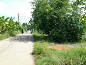 ที่ดินเปล่าทุ่งกง กาญจนดิษฐ์